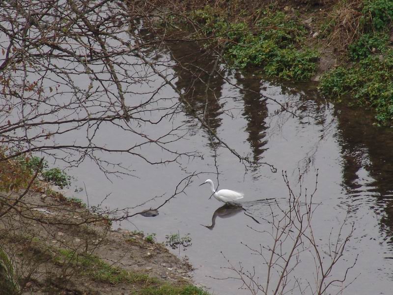 Ancora sul fiume..